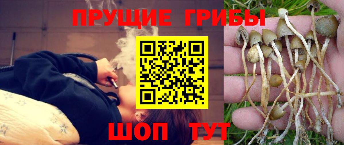 Волжск  Галлюциногенные грибы мухоморы  Вход с VPN 